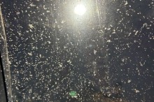 img_0890_720